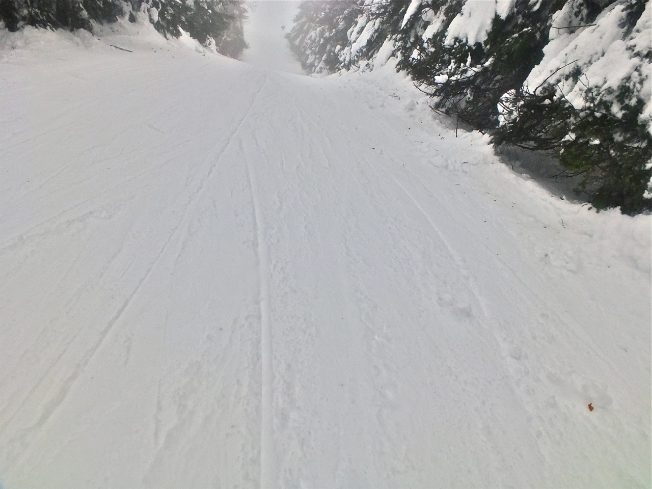 1.12.13.Axle.North.Side Trail.Surfaces.jpg