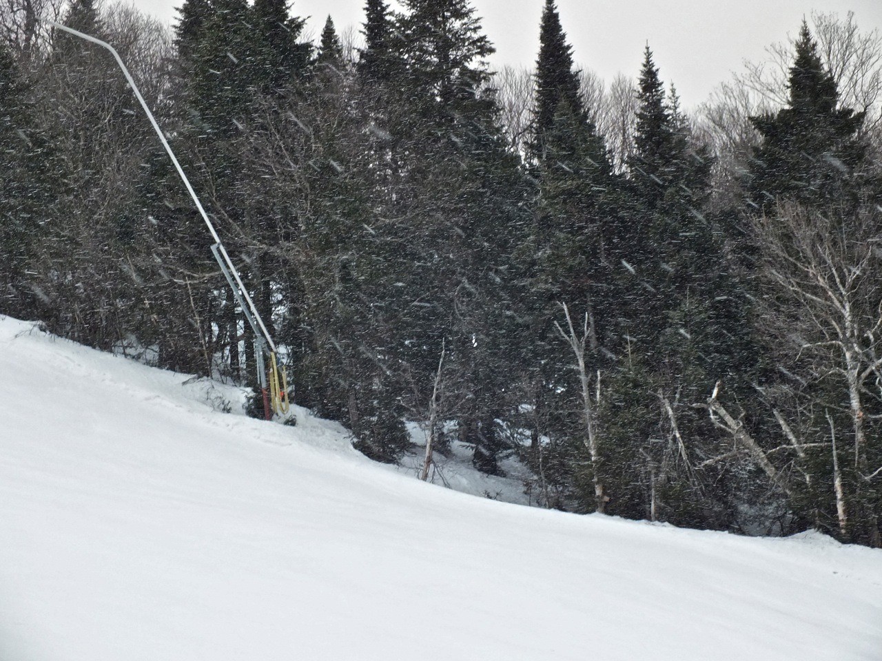 1.14.13.Duncan.Snowing.f.jpg