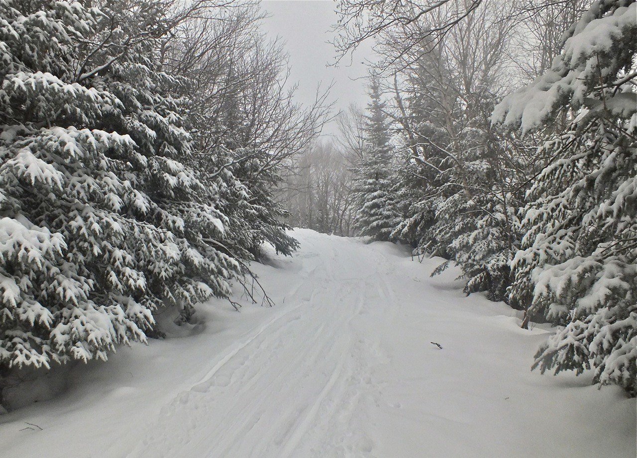www.tremblant360.com photo. All rights reserved.