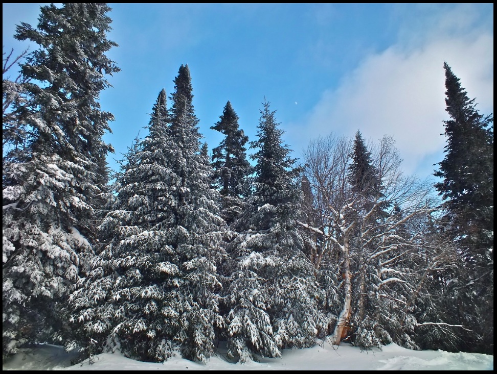 www.tremblant360.com photo. All rights reserved.