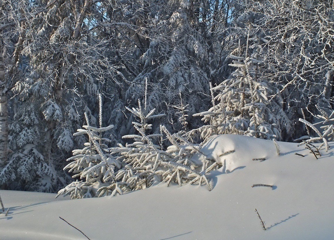 www.tremblant360.com photo. All rights reserved.