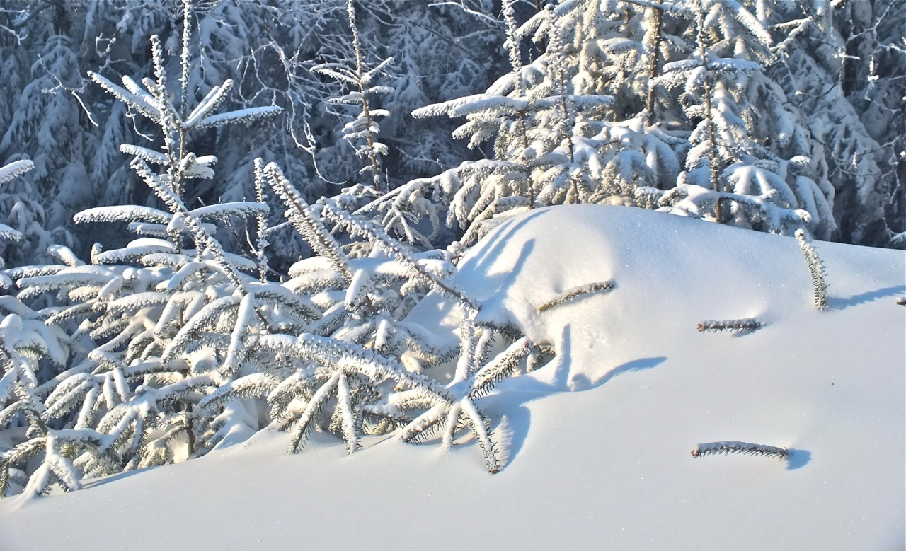 www.tremblant360.com. photo. All rights reserved.