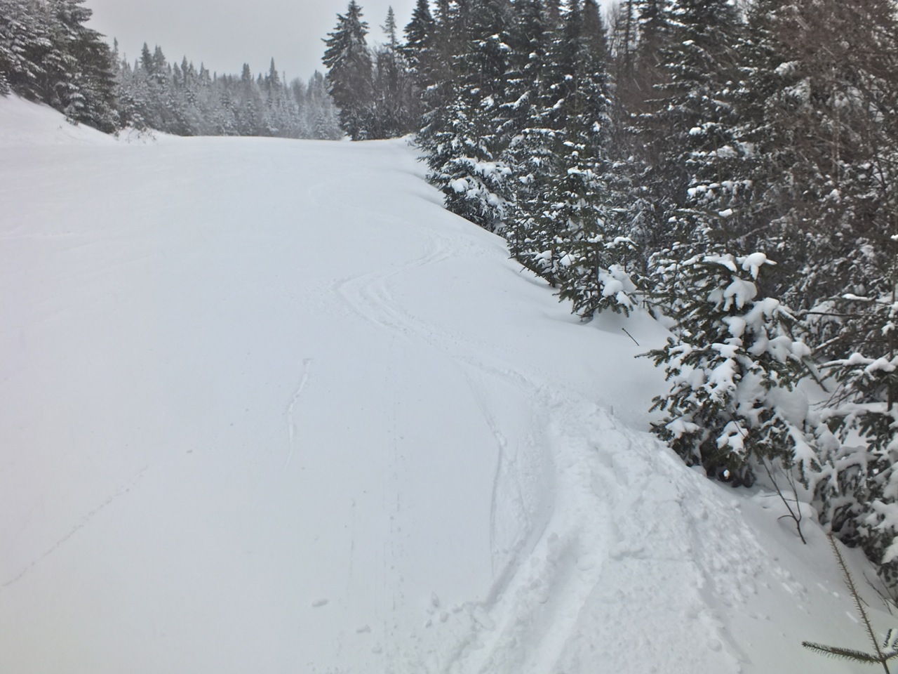 www.tremblant360.com photo.All rights reserved.