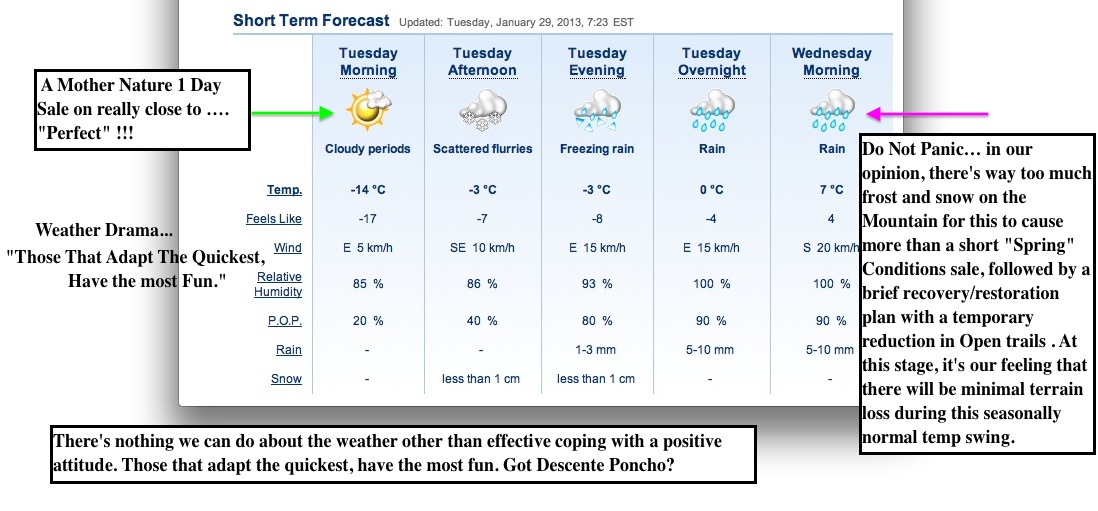 Screenshot, Courtesy of The Weather Network.