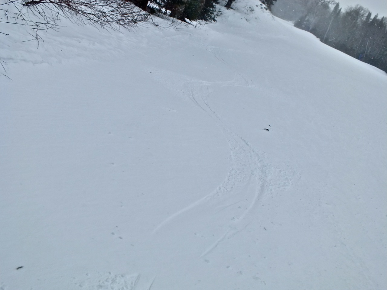 www.tremblant360.com photo. All rights reserved.