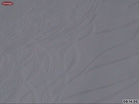 Fresh Tracks on Lower Expo, trail-side, just above the Expo Quad Chair.