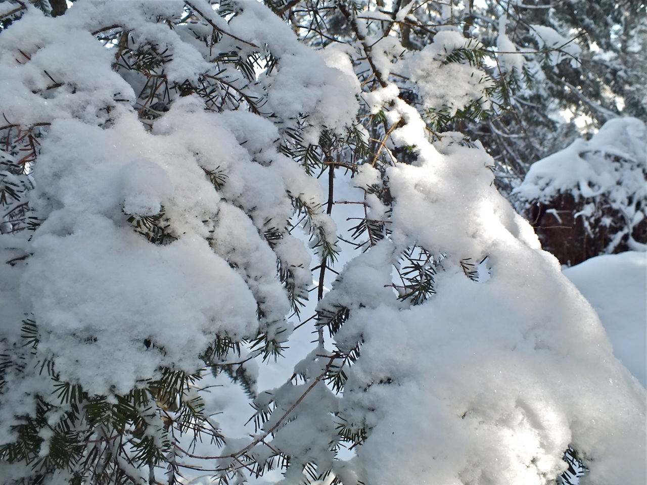 www.tremblant360.com photo. All rights reserved.