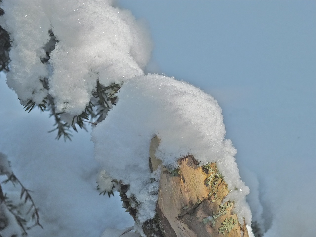 www.tremblant360.com photo. All rights reserved.