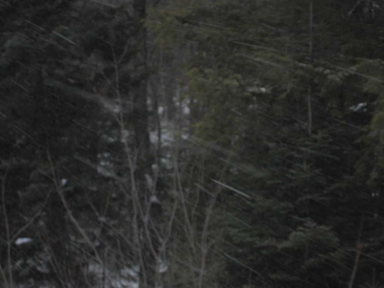 www.tremblant360.com Photo. All rights reserved.