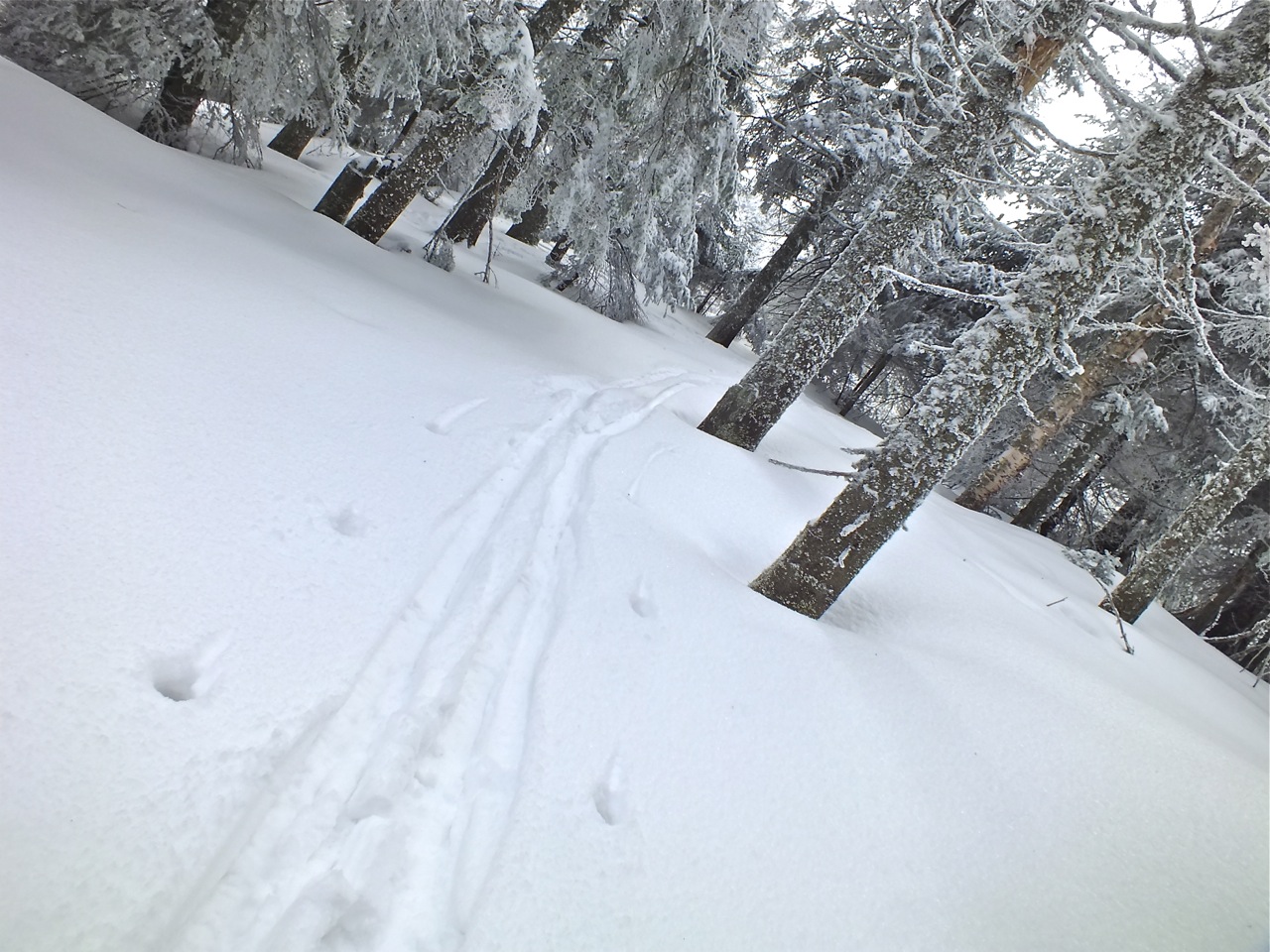 www.tremblant360.com photo. All rights reserved.