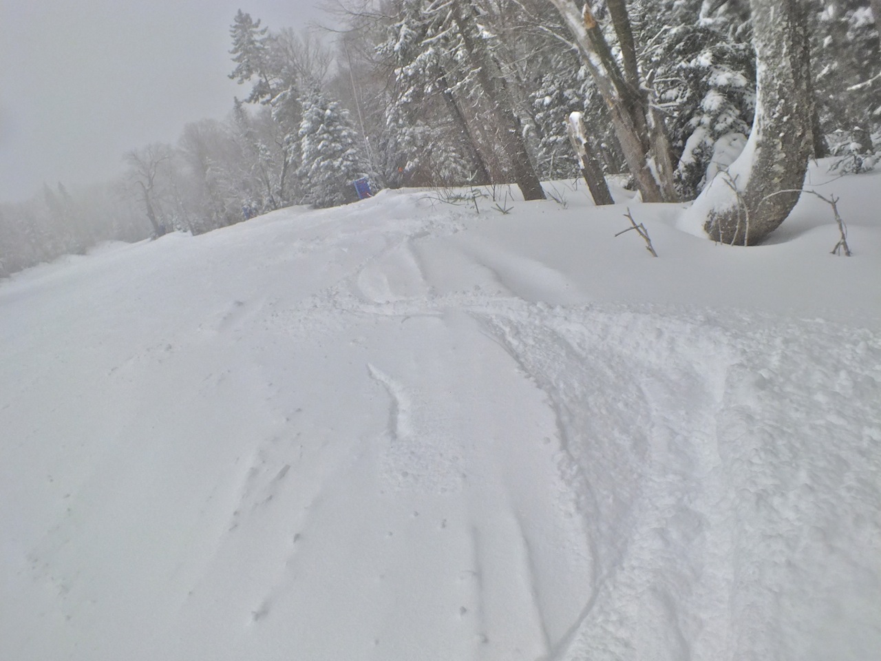 2.15.13.P'tit.Bonheur.Powder.Lines.f.jpg