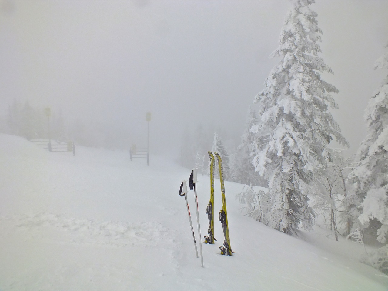 www.tremblant360.com photo. All rights reserved.