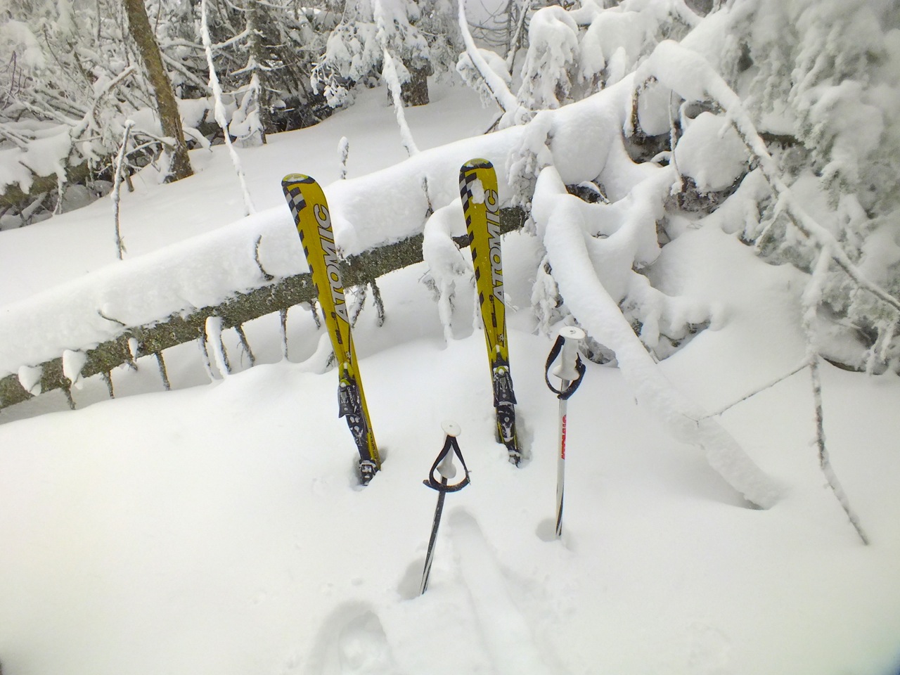 www.tremblant360.com photo. All rights reserved.
