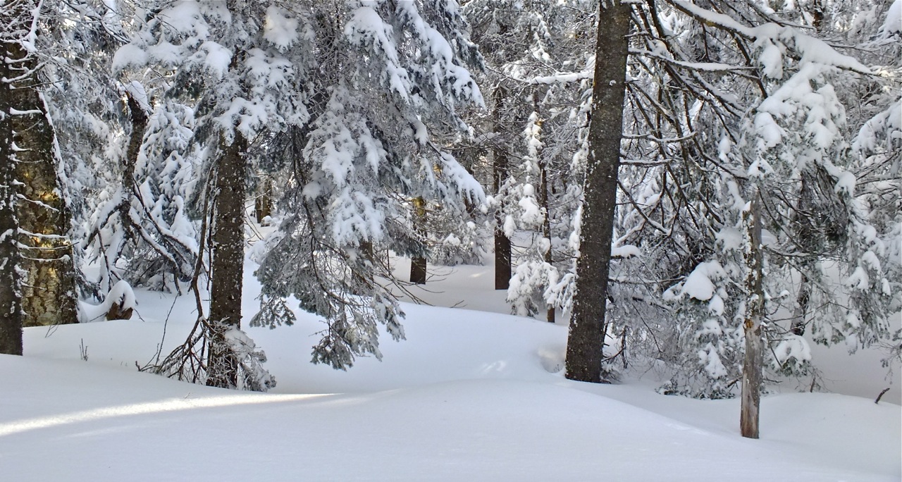 2.16.13.Lowell.Thomas.Trail.Side.c.jpg
