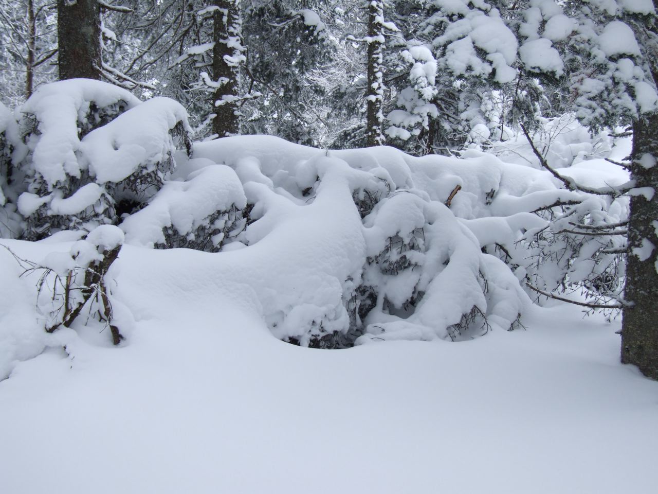 www.tremblant360.com Photo. All rights reserved.