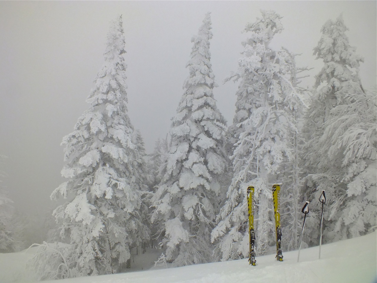 www.tremblant360.com photo. All rights reserved.