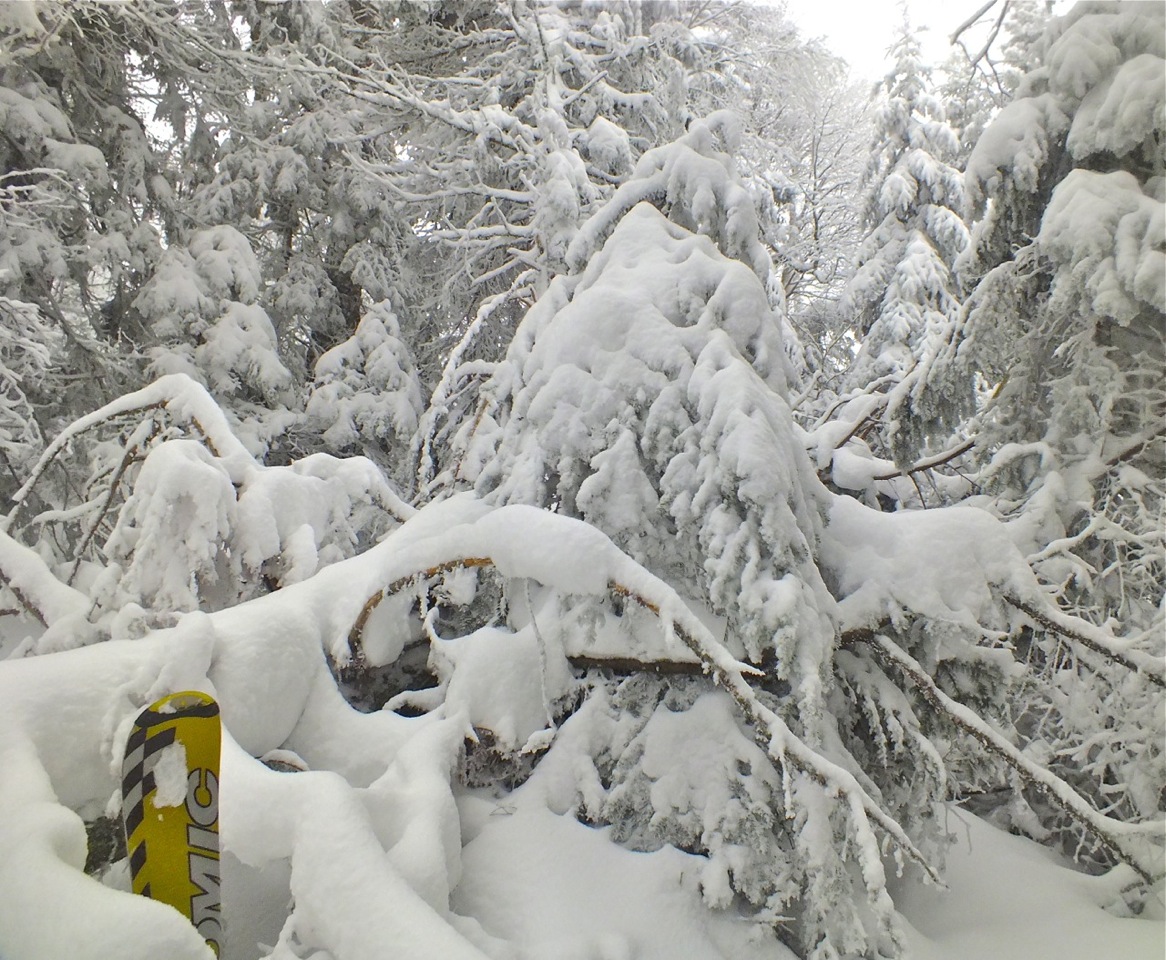 www.tremblant360.com photo. All rights reserved.