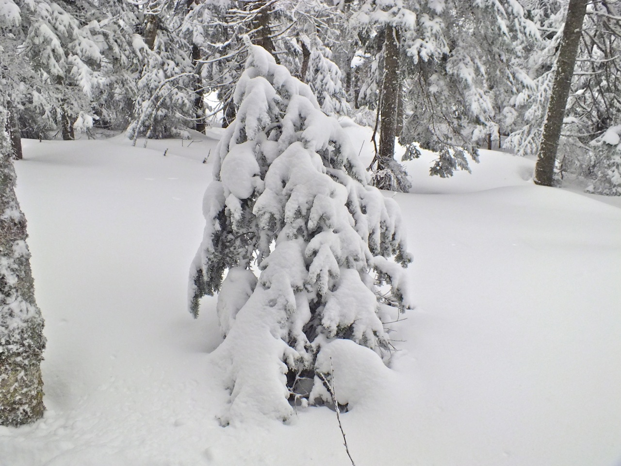 www.tremblant360.com photo. All rights reserved.
