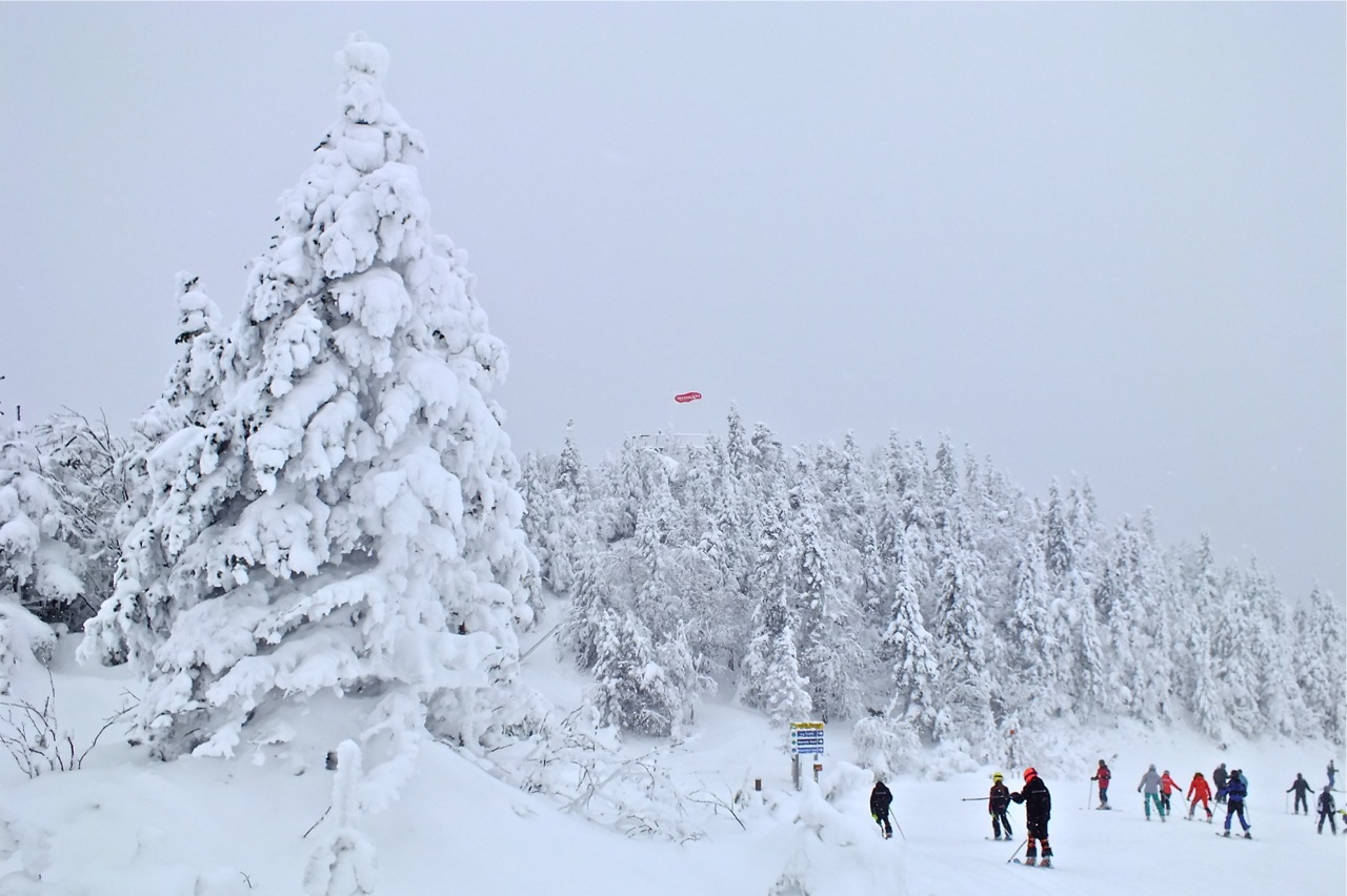 www.tremblant360.com photo. All rights reserved.