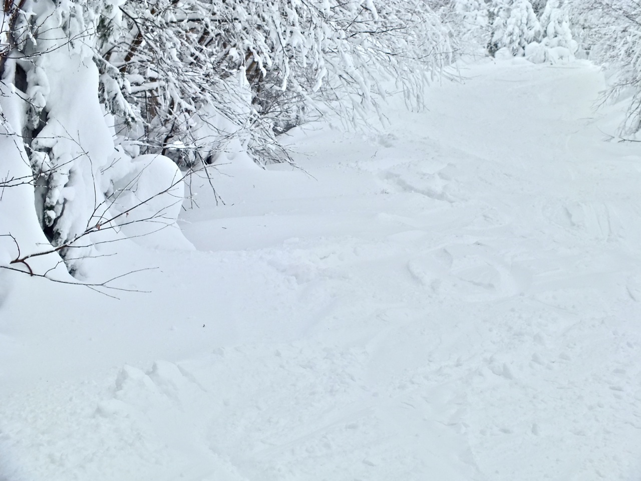 www.tremblant360.com photo. All rights reserved.