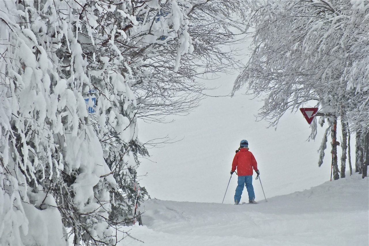 www.tremblant360.com photo. All rights reserved.