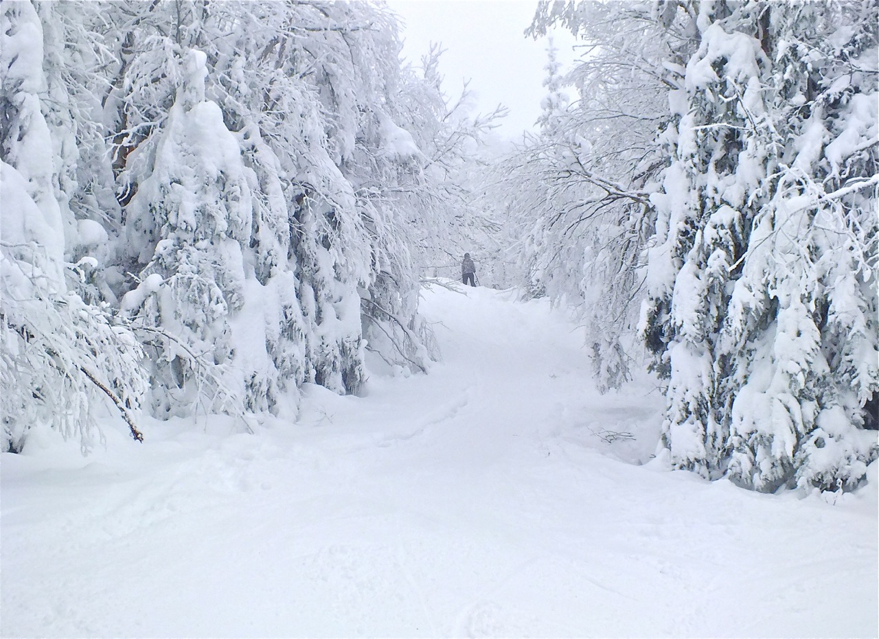 www.tremblant360.com photo. All rights reserved.
