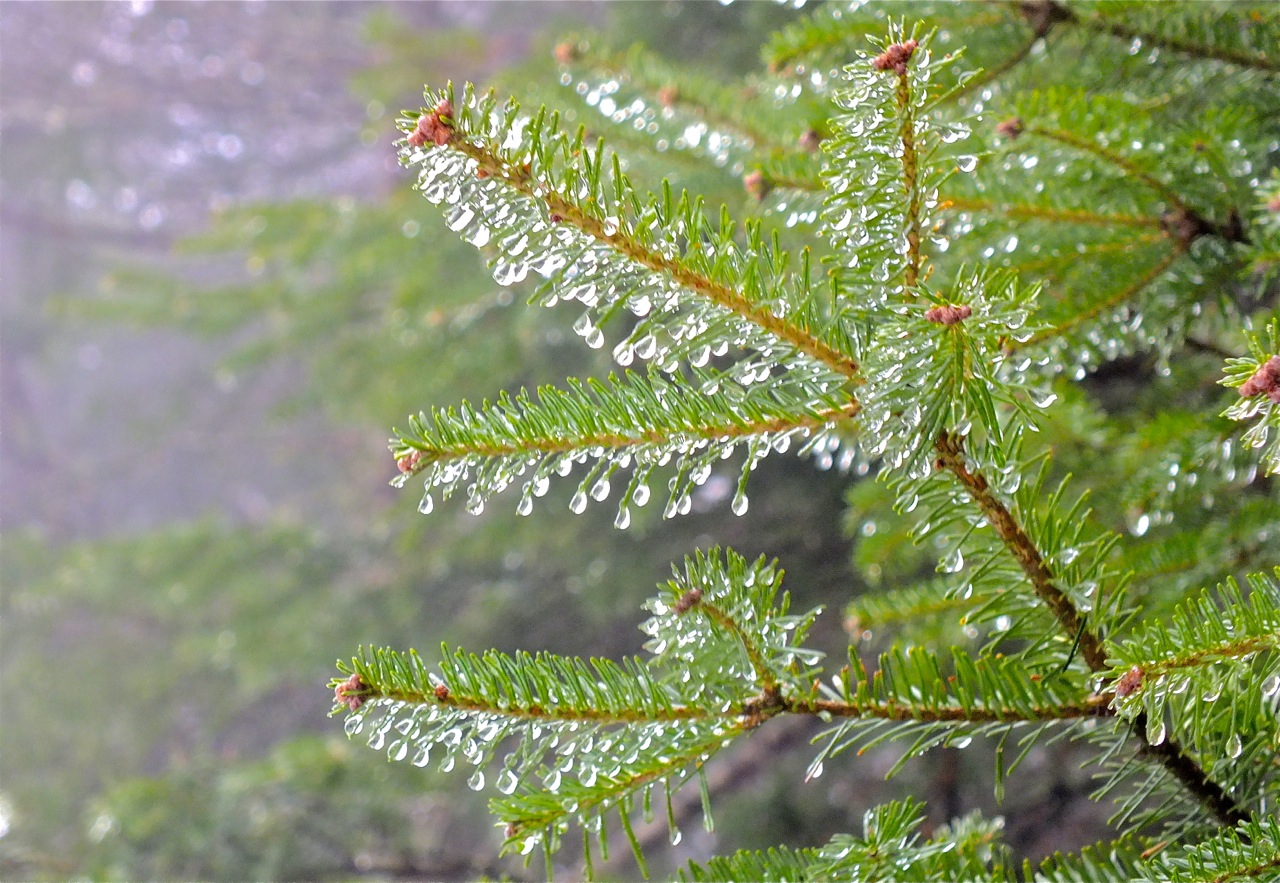 www.tremblant360.com photo. All right reserved.