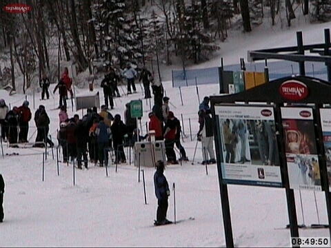 Let's Go Skiing!