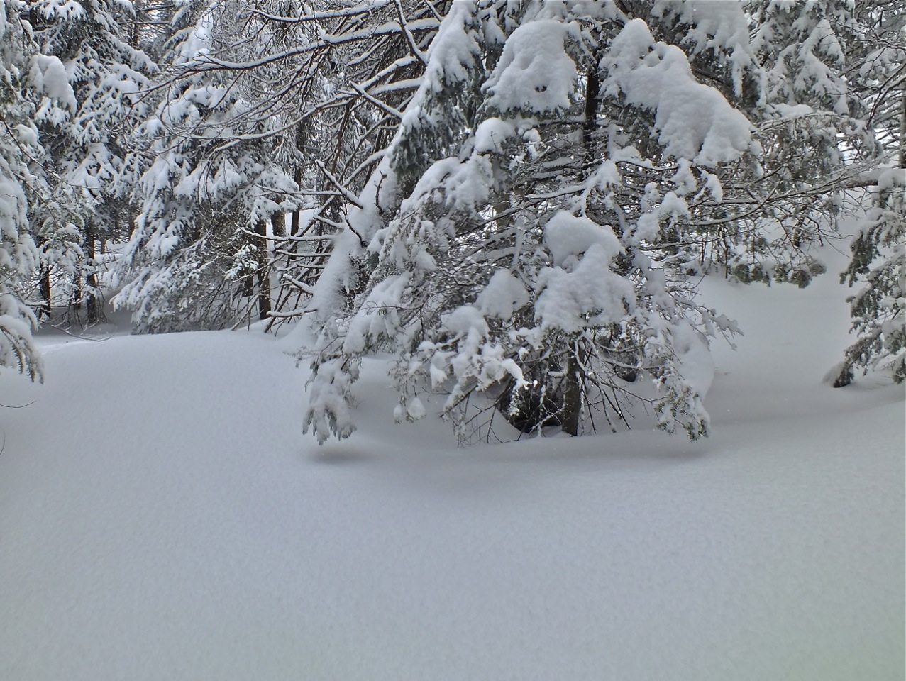 www.tremblant360.com photo. All rights reserved.