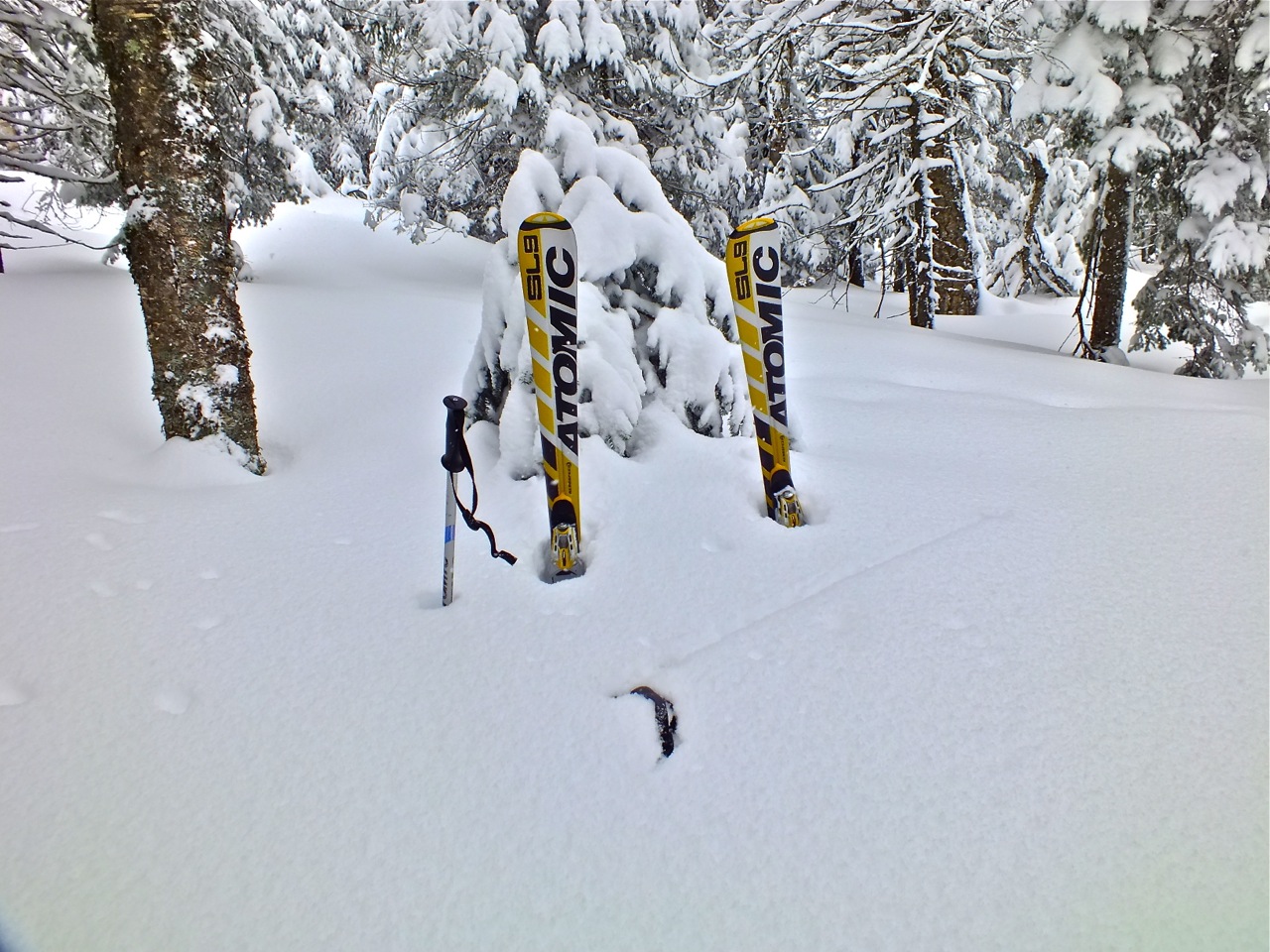 3.21.13.Tremblant.360.Proof.Of.Snow.jpg
