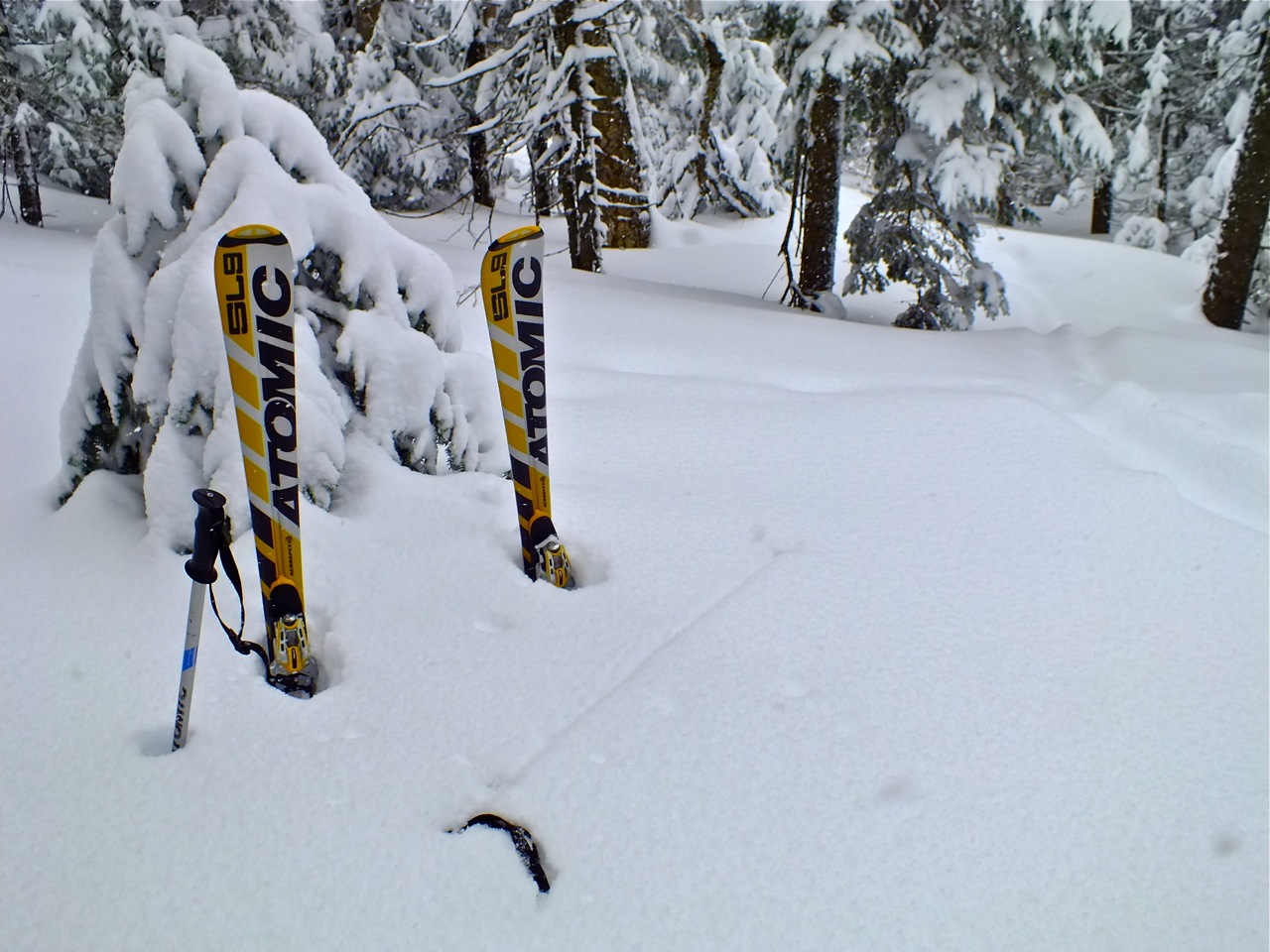 www.tremblant360.com photo. All rights reserved.