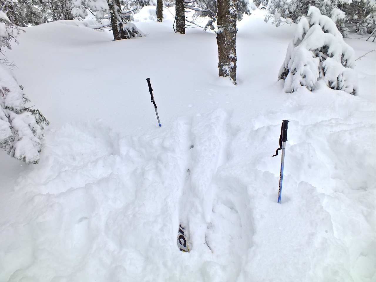 www.tremblant360.com photo. All rights reserved.