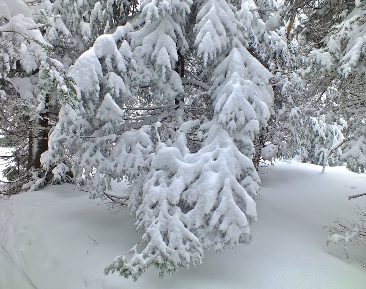 www.tremblant360.com photo. All rights reserved.