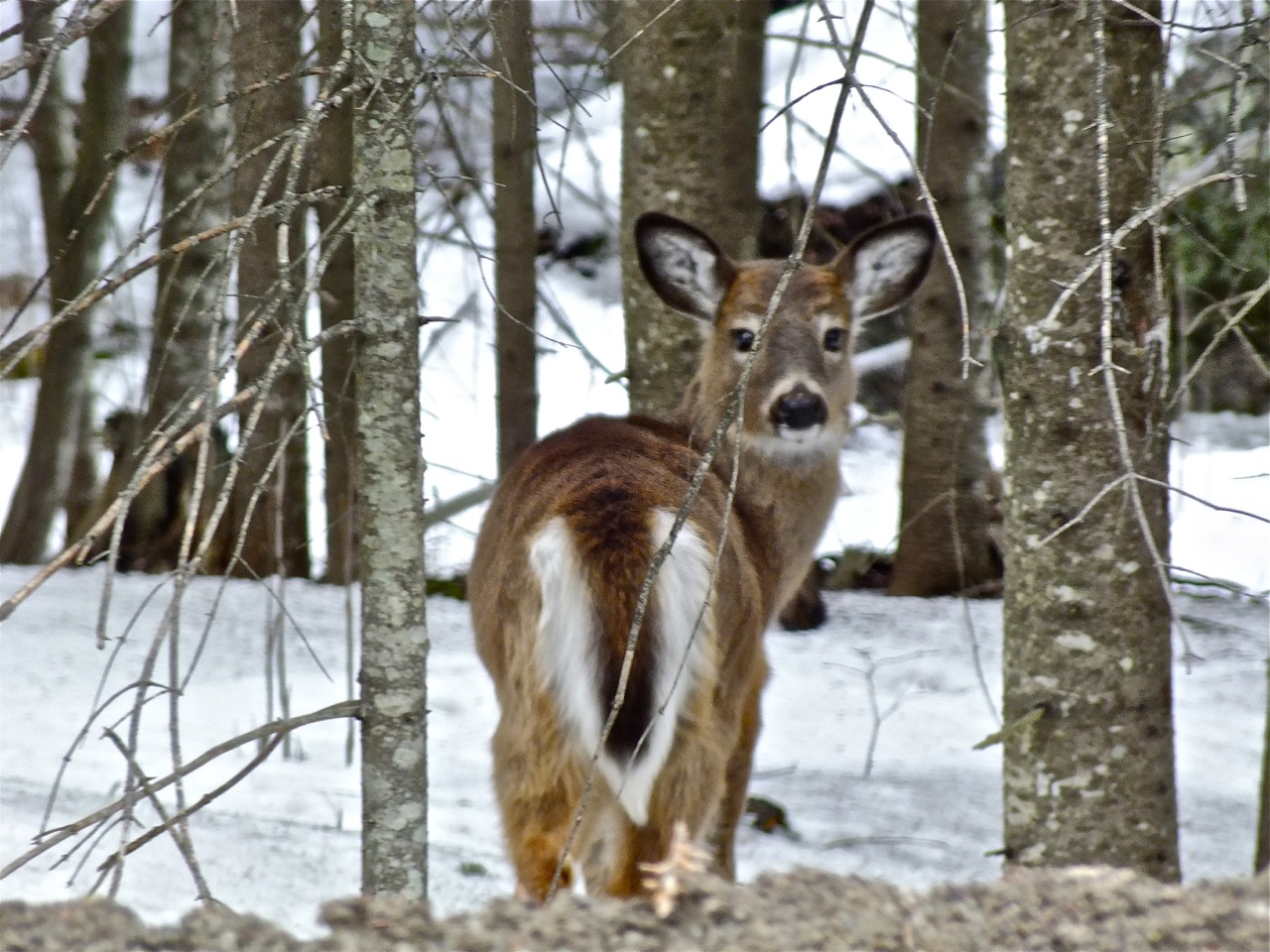www.tremblant360.com photo. All rights reserved.