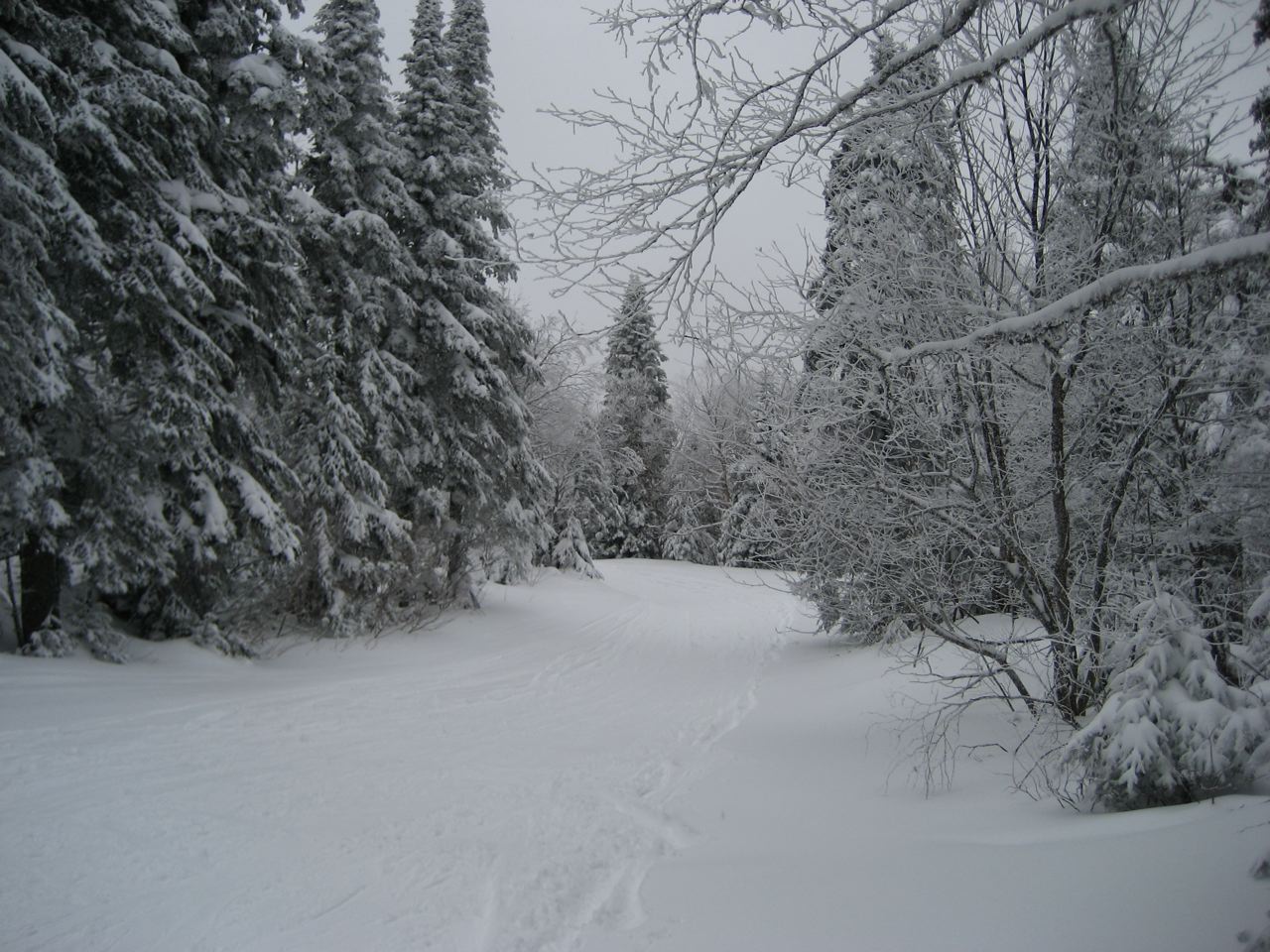 www.tremblant360.com Photo. All rights reserved.
