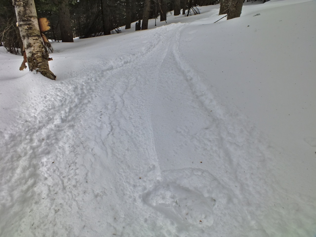 www.tremblant360.com photo. All rights reserved.