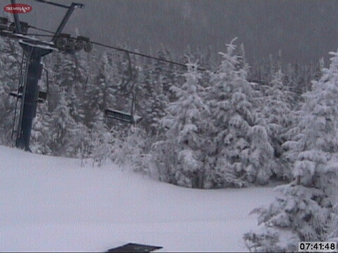This is what we like to see... Snow in the Trees means &quot;Primo&quot; Winter conditions, so today Will Be Excellent Skiing and Boarding