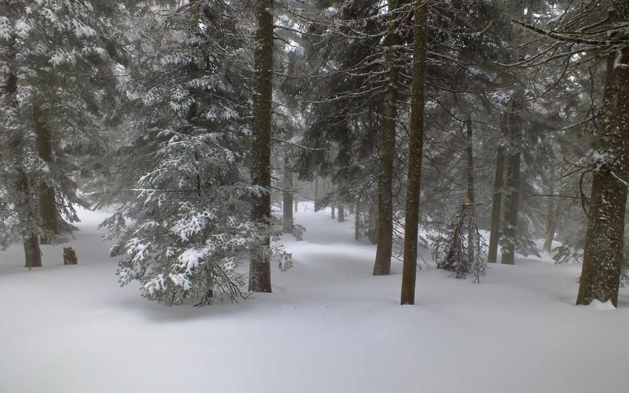 www.tremblant360.com photo. All rights reserved.