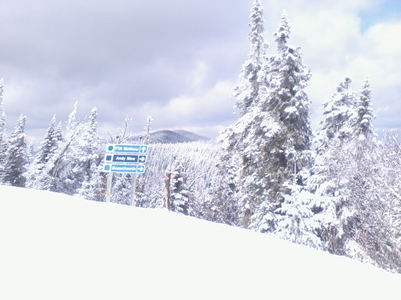 All Rights Reserved to Bluewind
