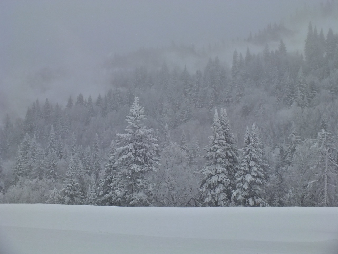 www.tremblant360.com.photo. All rights reserved.