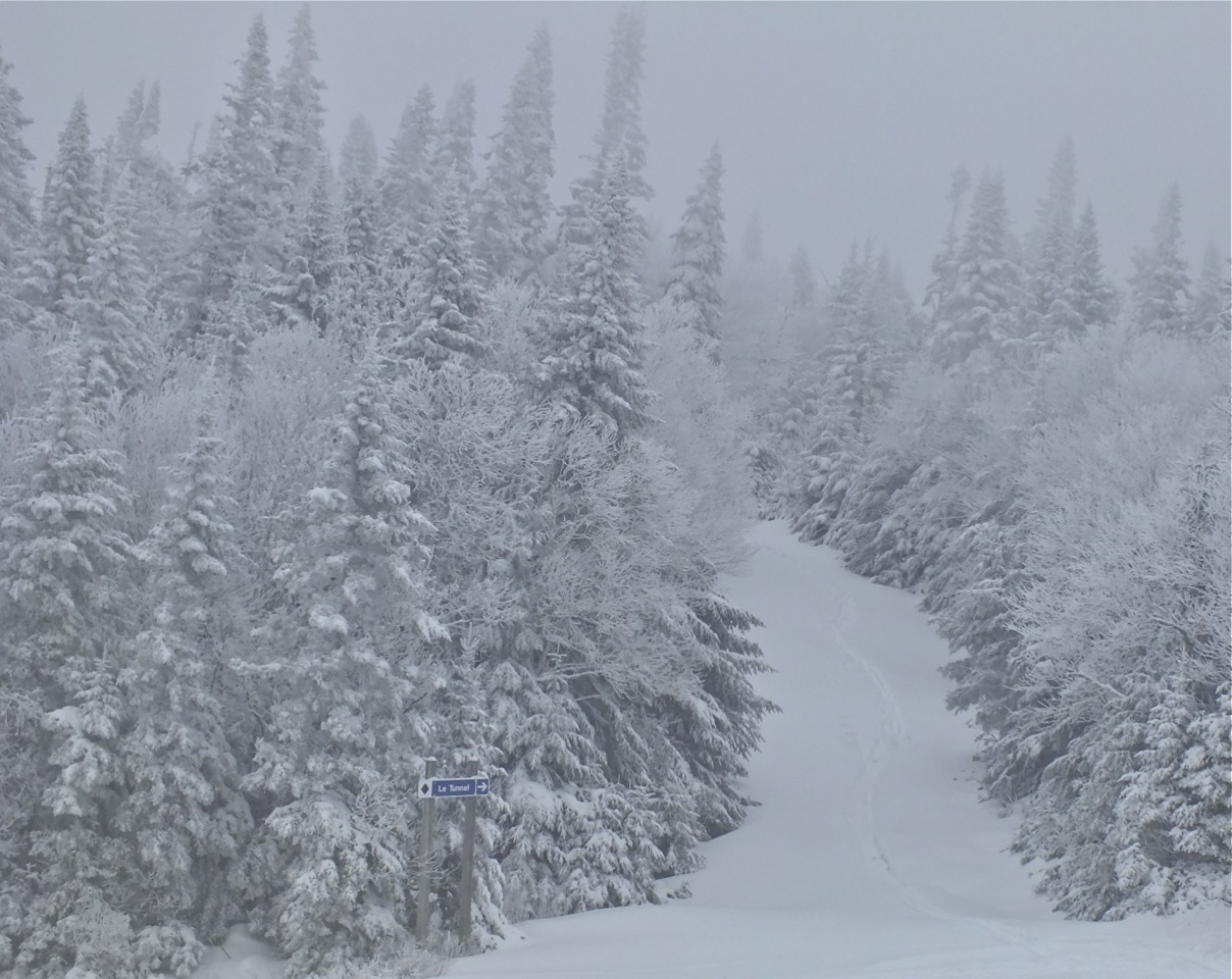 www.tremblant360.com photo. All rights reserved.