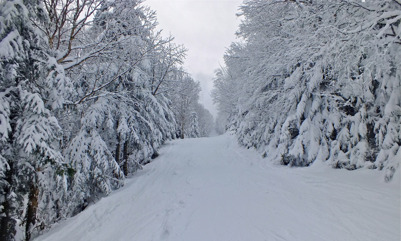 www.tremblant360.com photo. All rights reserved.