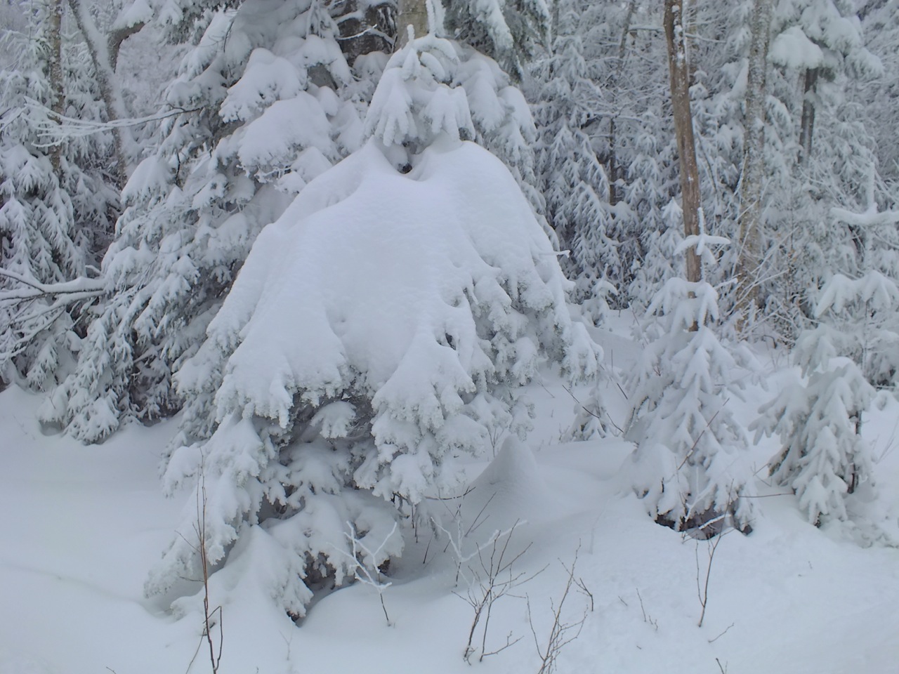 www.tremblant360.com photo. All rights reserved.