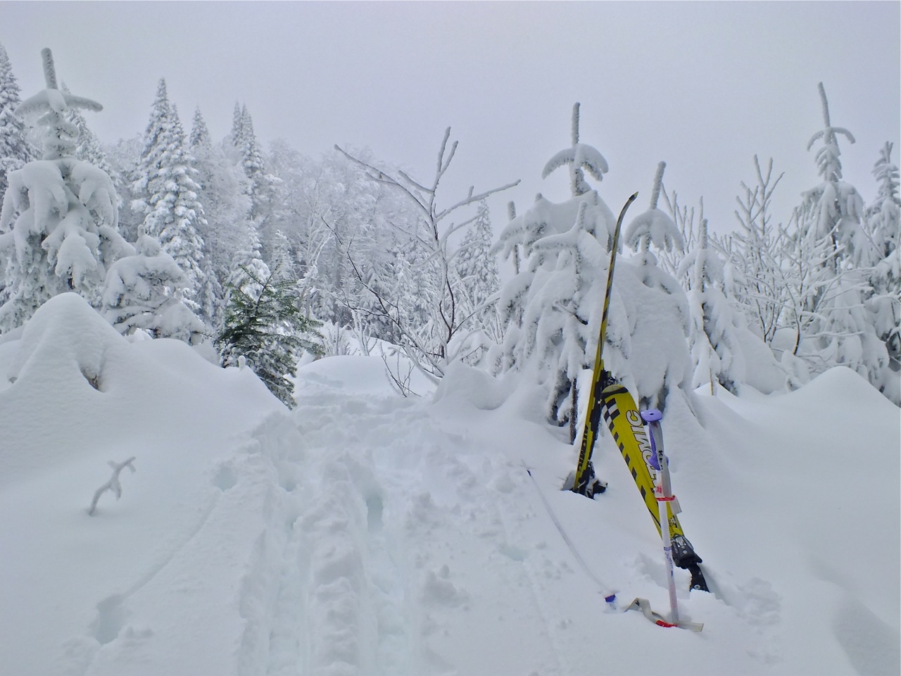 www.Tremblant360.com photo. All rights reserved.