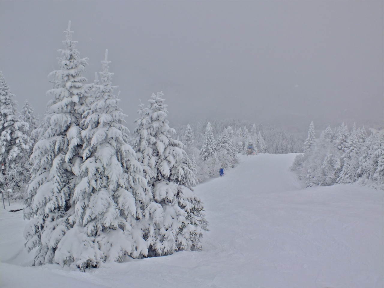 www.Tremblant360.com photo. All rights reserved.