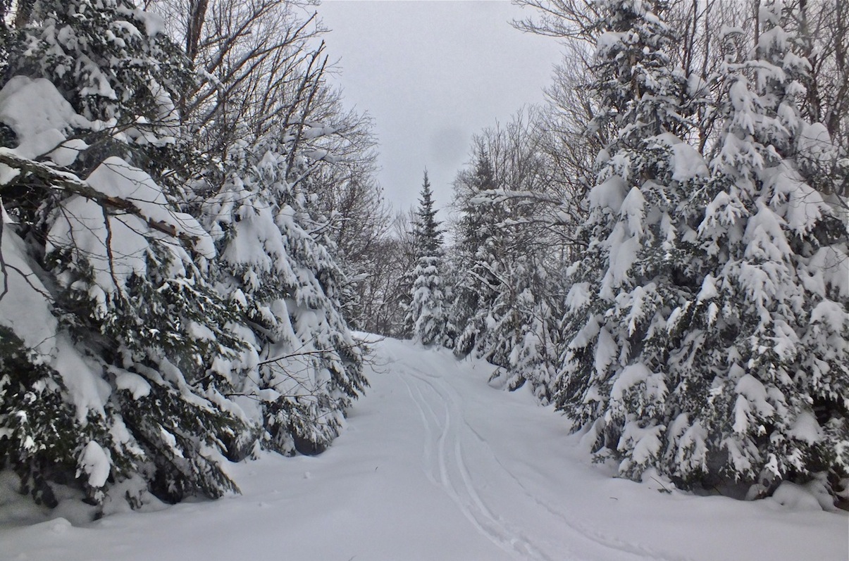 www.Tremblant360.com photo. all rights reserved.