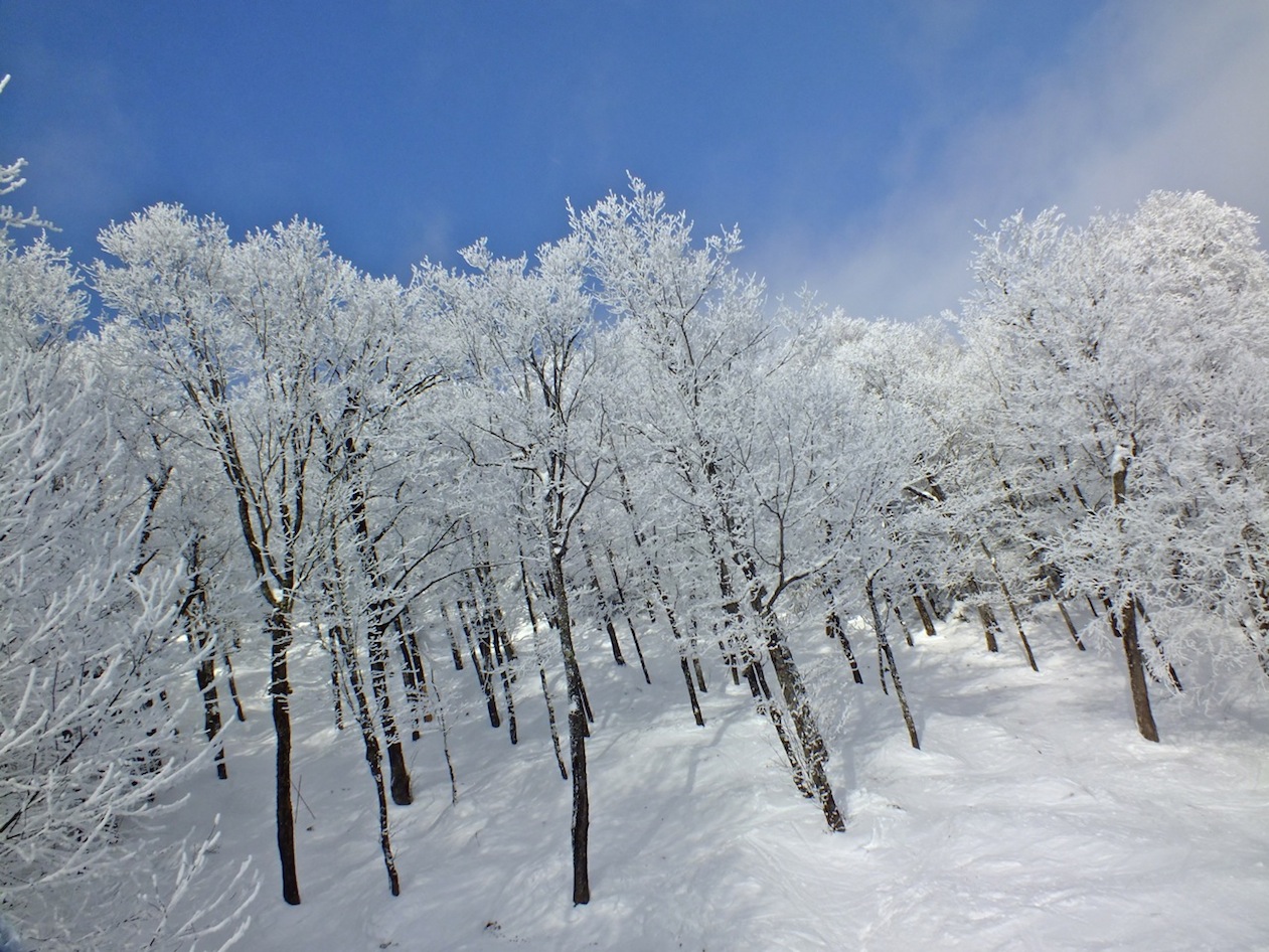www.tremblant360.com photo. All rights reserved.