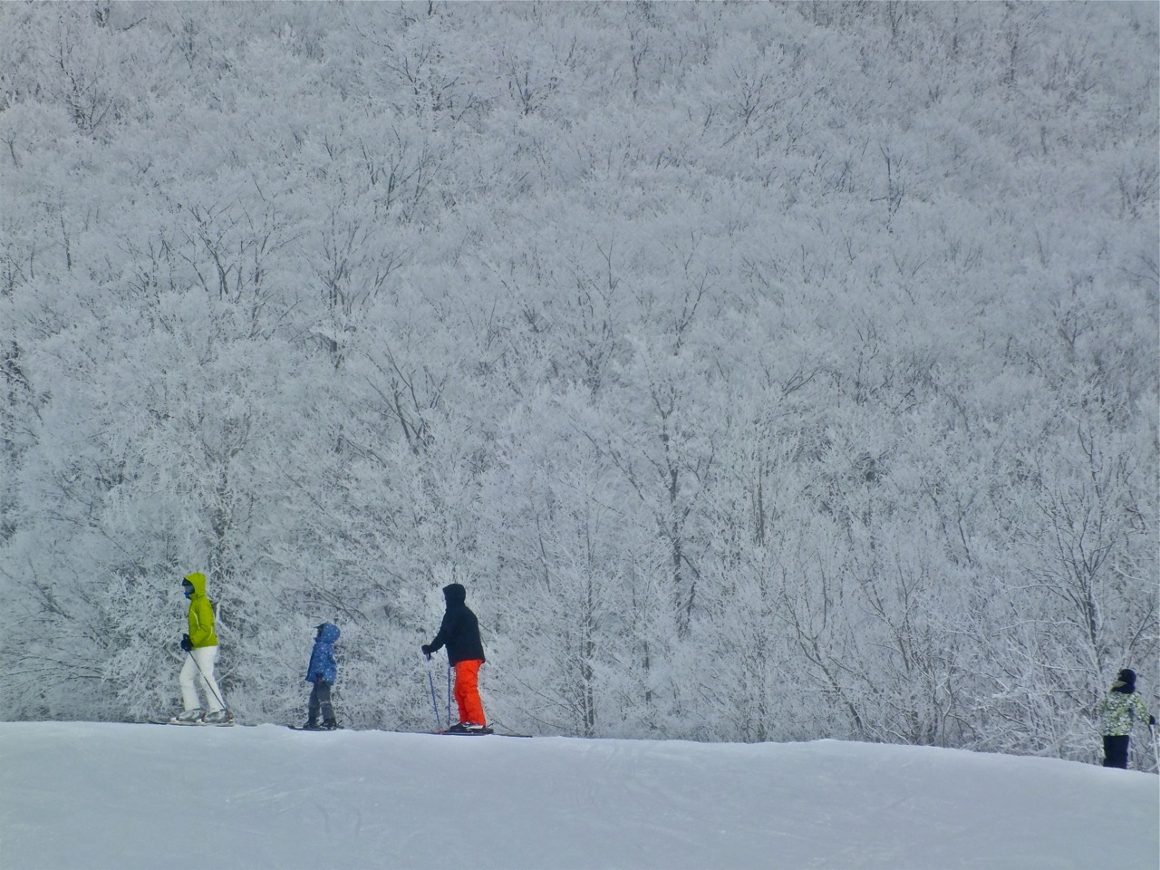 www.tremblant360.com photo. All rights reserved.