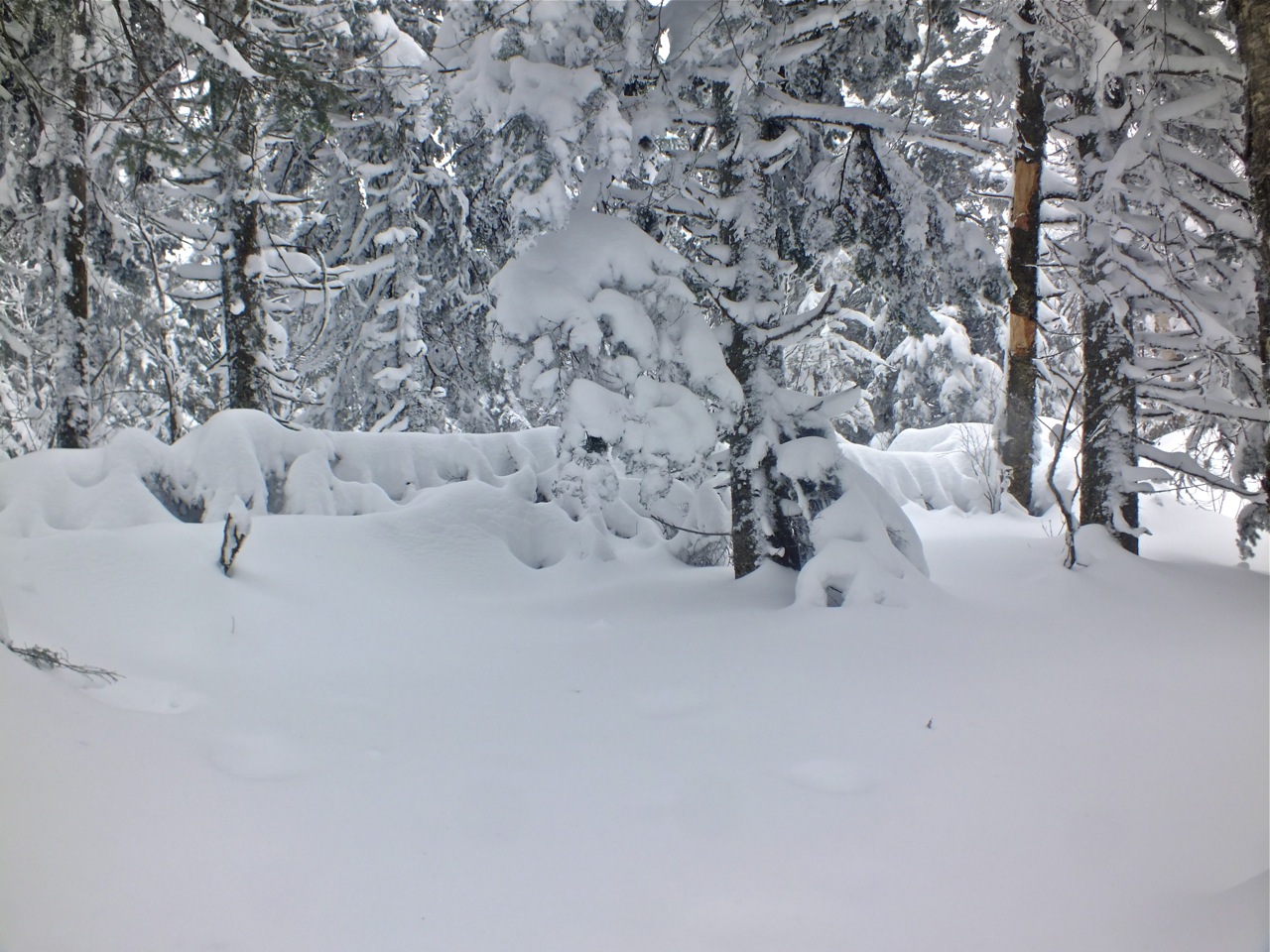 www.tremblant360.com photo. All rights reserved.