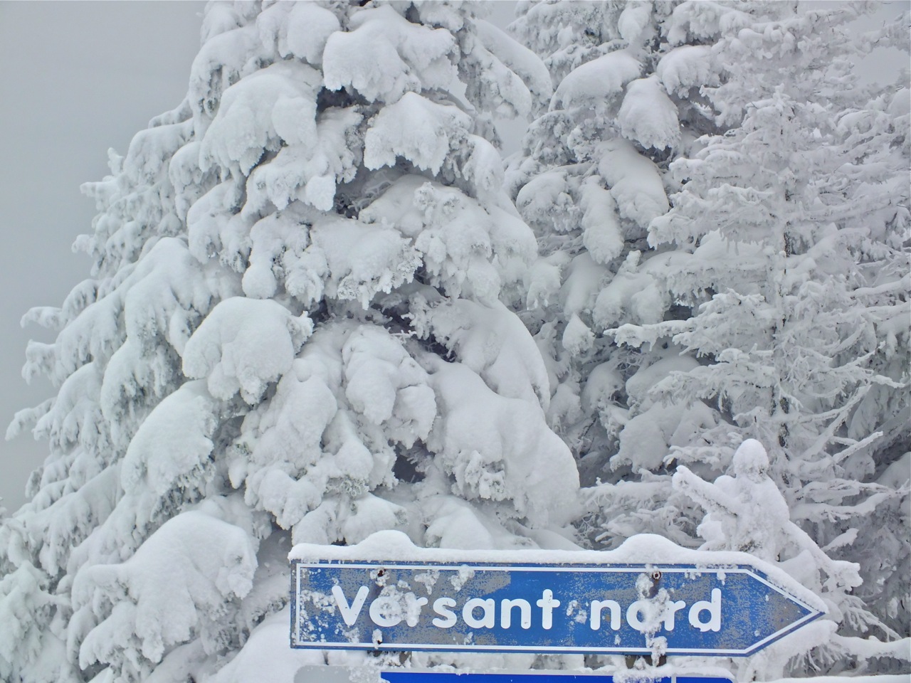 www.Tremblant360.com photo. All rights reserved.
